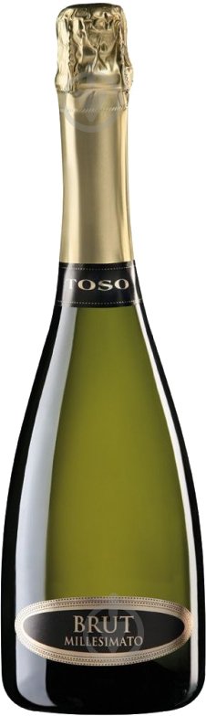 Вино игристое Toso Brut Millesimato 0,75 л - фото 1