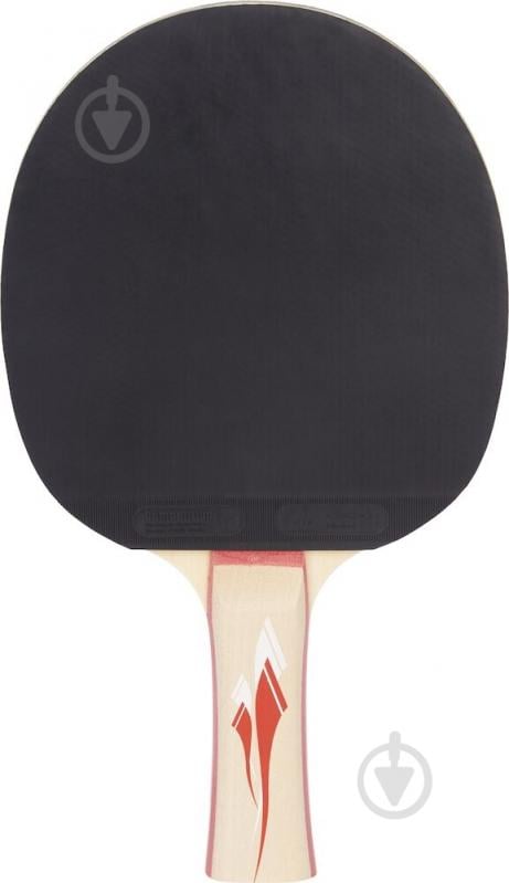 Ракетка для настольного тенниса Pro Touch PRO 5000 412150-900050 - фото 2 Ракетка для настольного тенниса Pro Touch PRO 5000 412150-900050 - фото 2