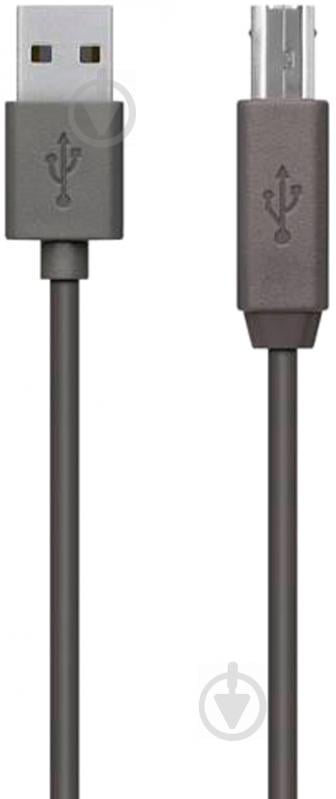 Кабель Belkin USB Am – USB Bm 3 м черный (F3U154bt3M) (AM/BM) DSTP - фото 1