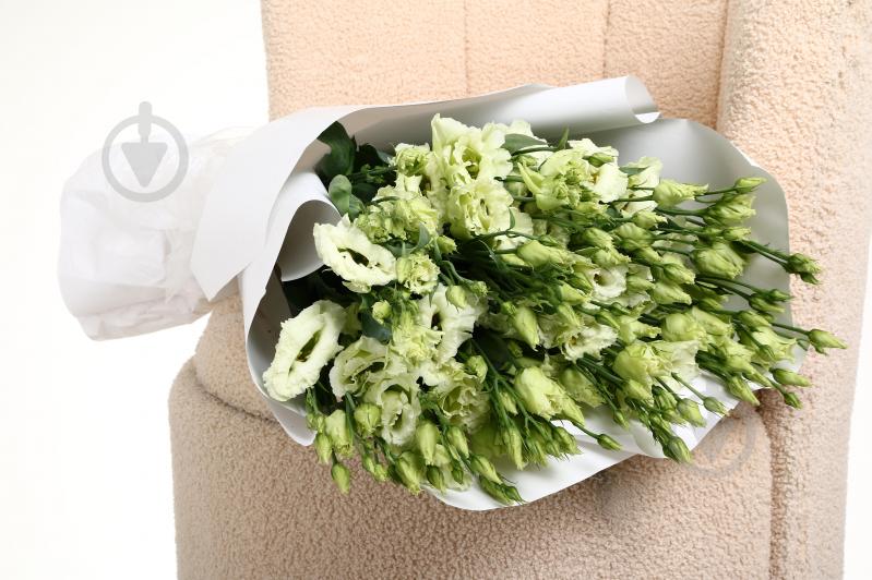 Эустома Alissa Green зеленая (Нидерланды) - фото 2 Эустома Alissa Green зеленая (Нидерланды) - фото 2