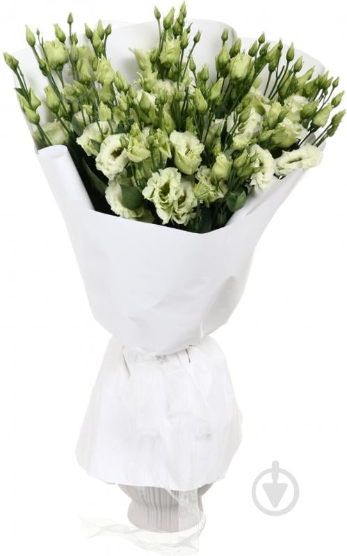 Эустома Alissa Green зеленая (Нидерланды) - фото 4 Эустома Alissa Green зеленая (Нидерланды) - фото 4