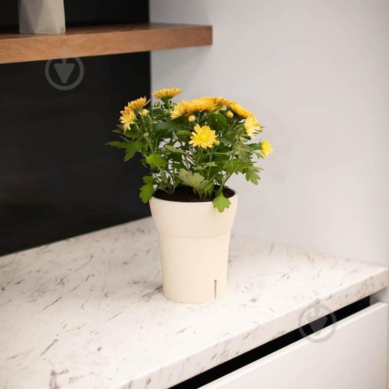 Вазон Dali-Dea круглый песочно-серый 2 л Santino (2022325) - фото 3 Вазон Dali-Dea круглый песочно-серый 2 л Santino (2022325) - фото 3