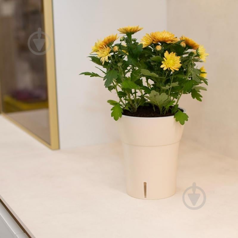 Вазон Dali-Dea круглый песочно-серый 2 л Santino (2022325) - фото 5 Вазон Dali-Dea круглый песочно-серый 2 л Santino (2022325) - фото 5