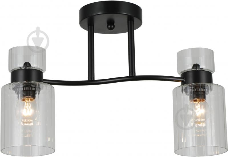 Люстра стельова Sensio Sculptor 2x40 Вт E27 чорний/прозорий ALG-07555/2-Bl - фото 2