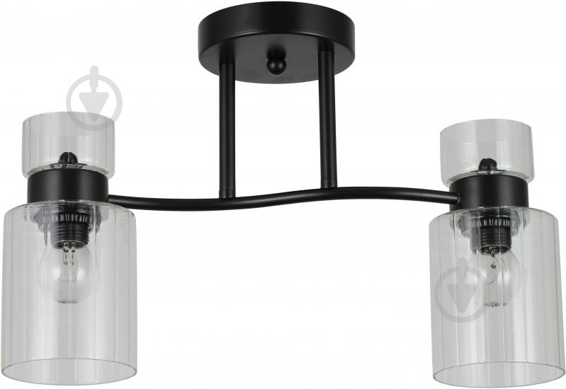 Люстра стельова Sensio Sculptor 2x40 Вт E27 чорний/прозорий ALG-07555/2-Bl - фото 1