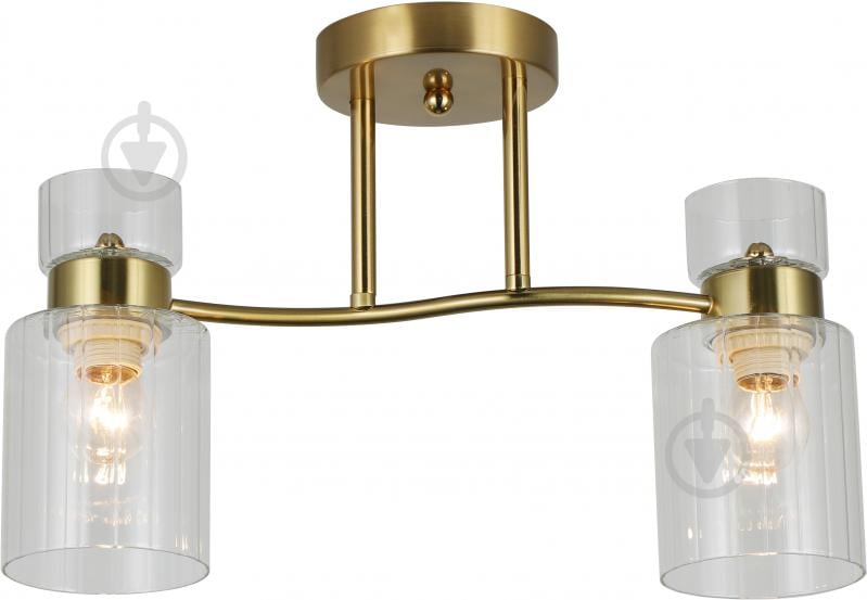 Люстра стельова Sensio Sculptor 2x40 Вт E27 прозорий/золото ALG-07555/2-C - фото 2