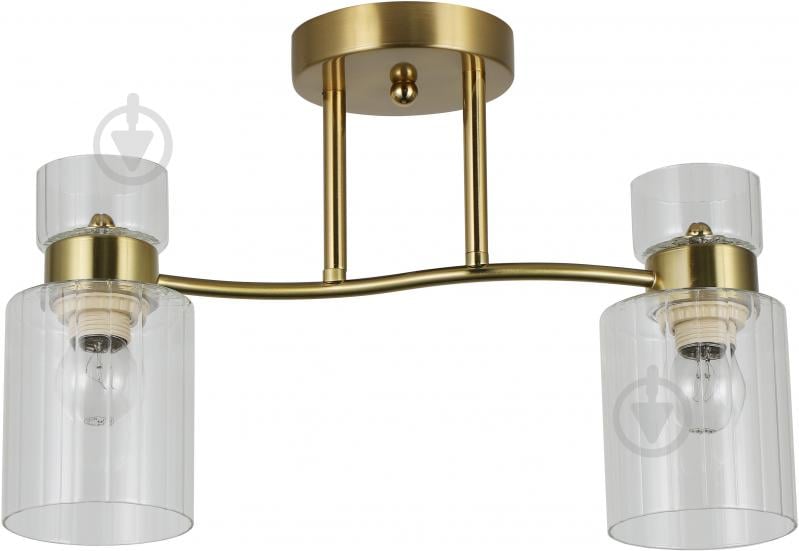 Люстра стельова Sensio Sculptor 2x40 Вт E27 прозорий/золото ALG-07555/2-C - фото 1