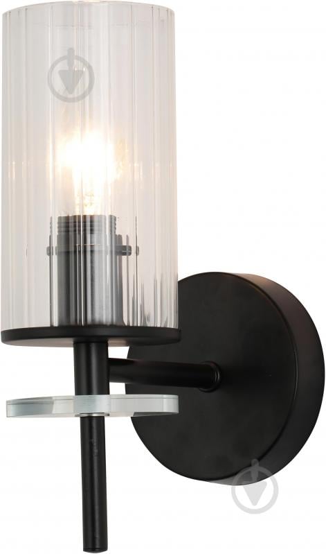 Светильник настенный Sensio Canis 40 Вт E14 черный/прозрачный ALG-74590/1W - фото 2