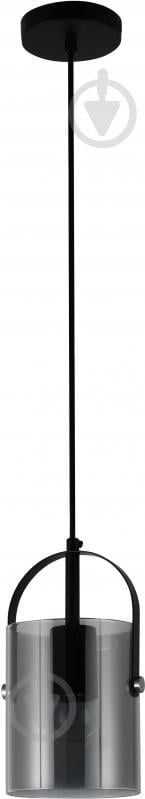 Світильник підвісний Sensio Columba 1x40 Вт E27 чорний ALG-74721/1P-Bl - фото 1 Світильник підвісний Sensio Columba 1x40 Вт E27 чорний ALG-74721/1P-Bl - фото 1