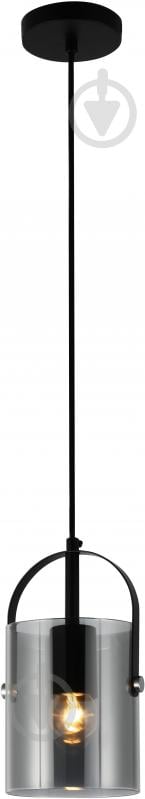 Світильник підвісний Sensio Columba 1x40 Вт E27 чорний ALG-74721/1P-Bl - фото 2 Світильник підвісний Sensio Columba 1x40 Вт E27 чорний ALG-74721/1P-Bl - фото 2
