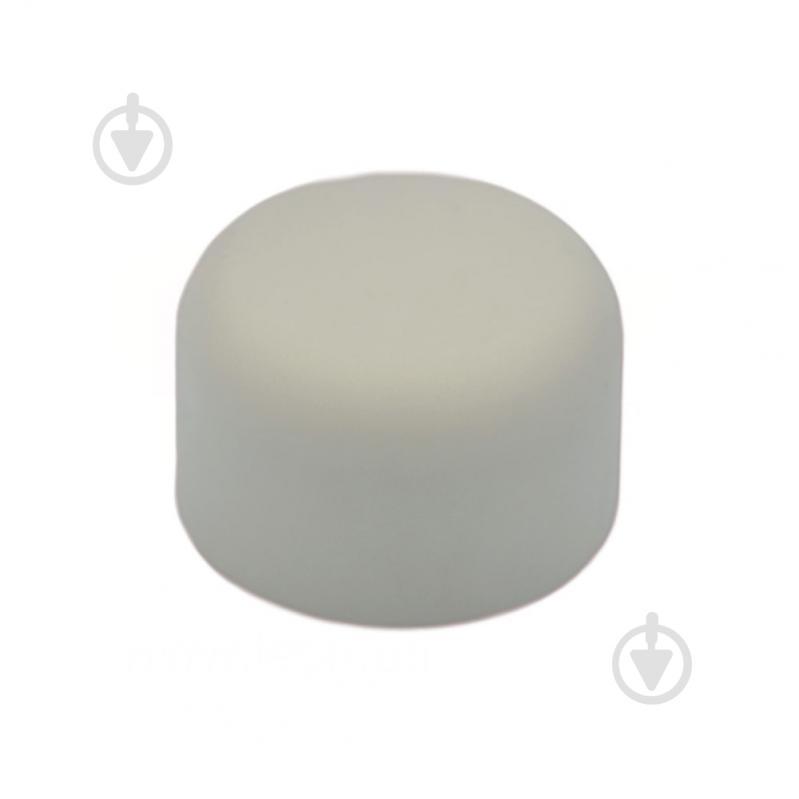 Заглушка PP-R 90 PRAWTECH - фото 1