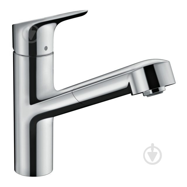 Смеситель для кухни Hansgrohe 150 Focus M43 хром - фото 1