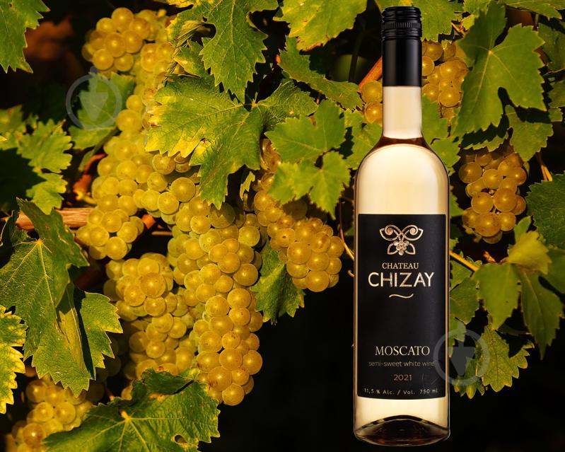 Вино Chateau Chizay Moscato 750 мл - фото 4