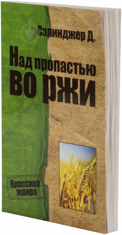 Над пропастью во ржи план пересказа