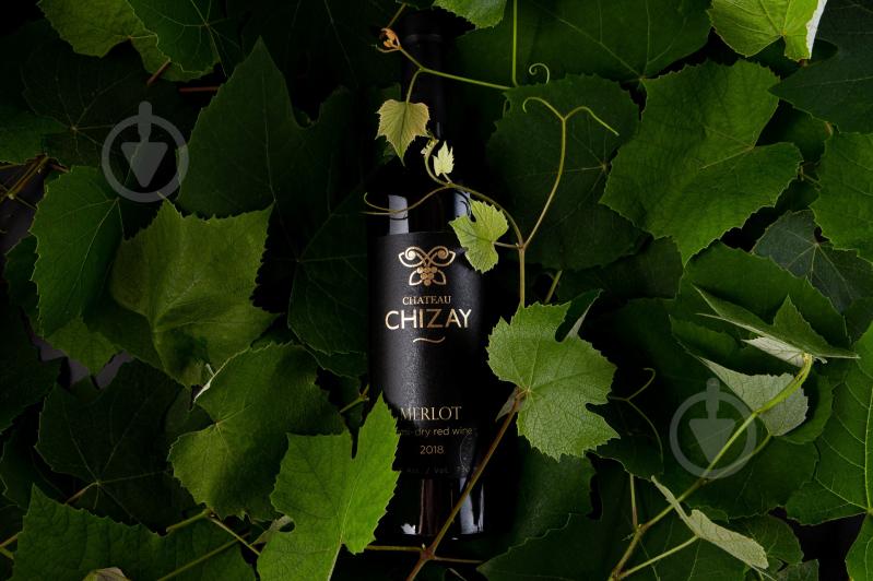 Вино Chateau Chizay Merlot 2018 года 750 мл - фото 3