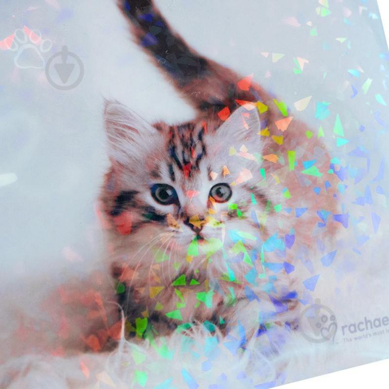 Папка на кнопке А4 Rachael Hale KITE - фото 2