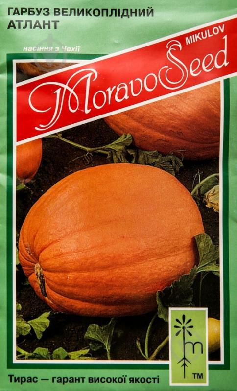 Семена тыква Атлант 5 г MoravoSeeds - фото 1 Семена тыква Атлант 5 г MoravoSeeds - фото 1