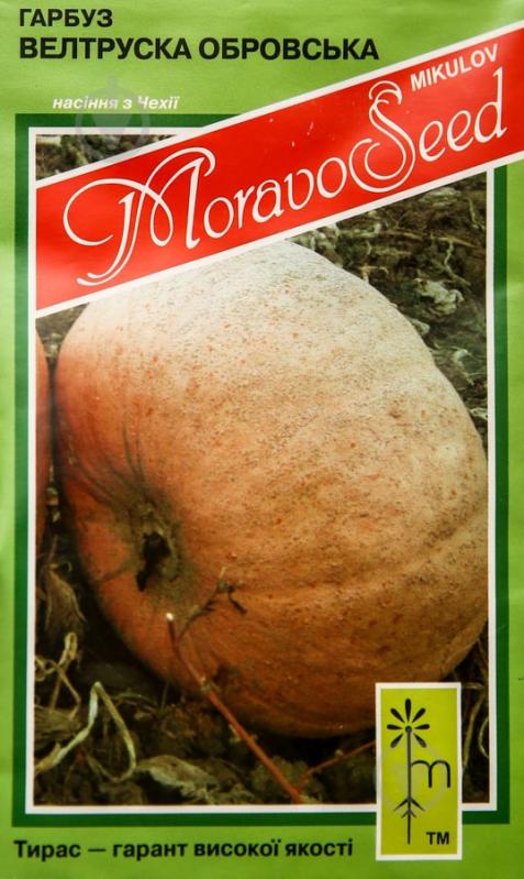 Семена MoravoSeeds тыква Велтрусская обровская 5 г (4820163682976) - фото 1