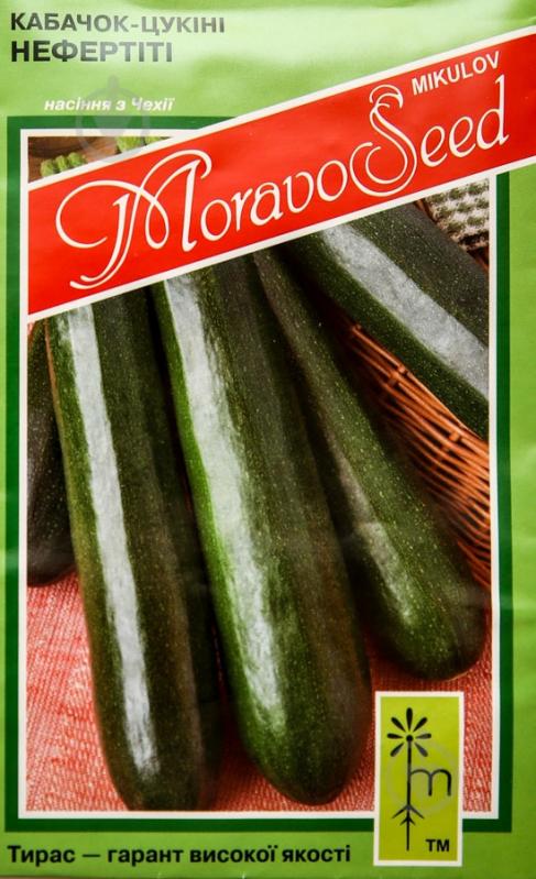 Насіння MoravoSeeds кабачок Нефертіті 2,5 г (4820163680187) - фото 1 Насіння MoravoSeeds кабачок Нефертіті 2,5 г (4820163680187) - фото 1