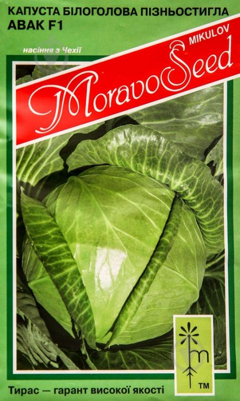 Насіння MoravoSeeds капуста білоголова Авак F1 0,2 г (4820163680330) - фото 1 Насіння MoravoSeeds капуста білоголова Авак F1 0,2 г (4820163680330) - фото 1