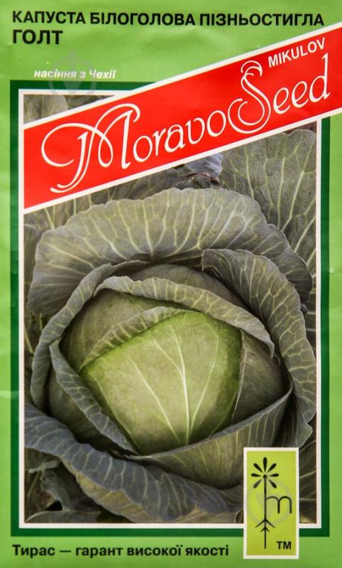 Насіння MoravoSeeds капуста білоголова Голт 0,2 г (4820163680392) - фото 1 Насіння MoravoSeeds капуста білоголова Голт 0,2 г (4820163680392) - фото 1