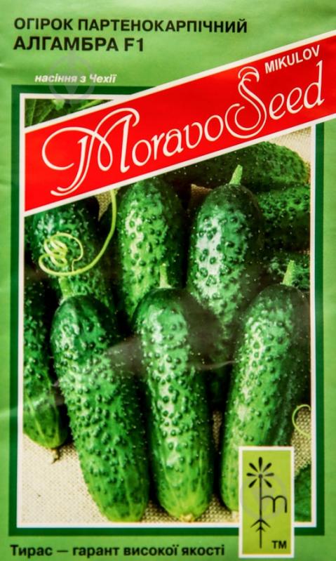 Семена огурец Алгамбра F1 1,2 г MoravoSeeds - фото 1 Семена огурец Алгамбра F1 1,2 г MoravoSeeds - фото 1