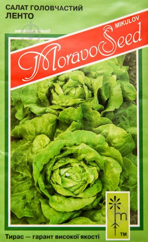 Семена салат Ленто 0,8 г MoravoSeeds - фото 1