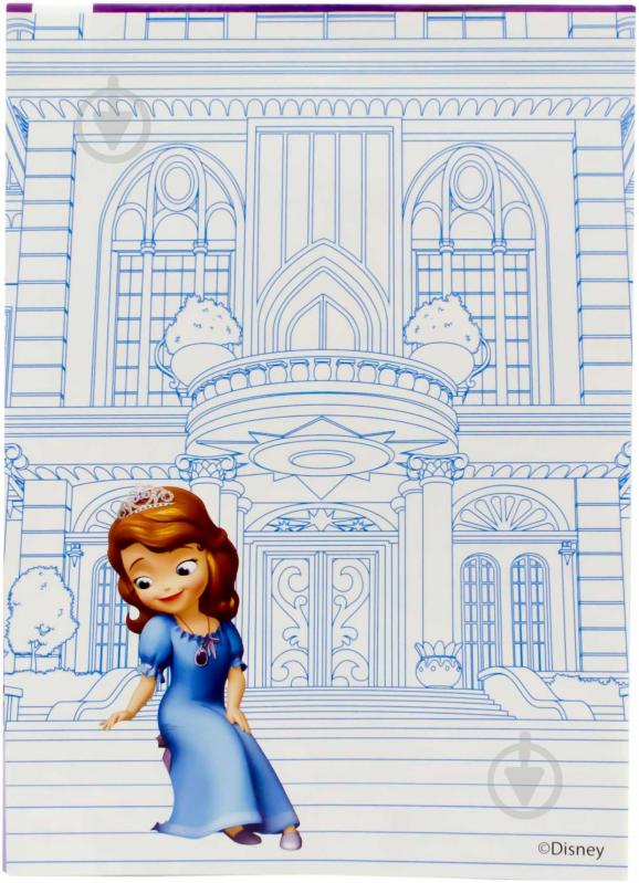 Книга Конопленко И.И.  «Софія та замки» 978-966-746-762-3 - фото 2