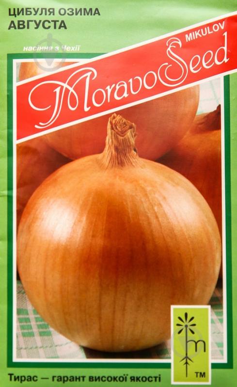 Семена лук Августа 2 г MoravoSeeds - фото 1 Семена лук Августа 2 г MoravoSeeds - фото 1