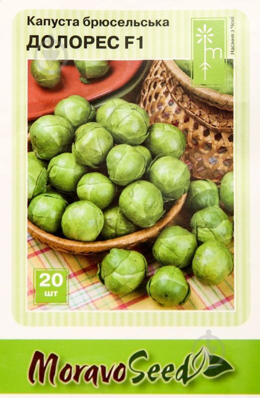 Насіння MoravoSeeds капуста брюссельська Долорес F1 20 шт. (4820163683577) - фото 1