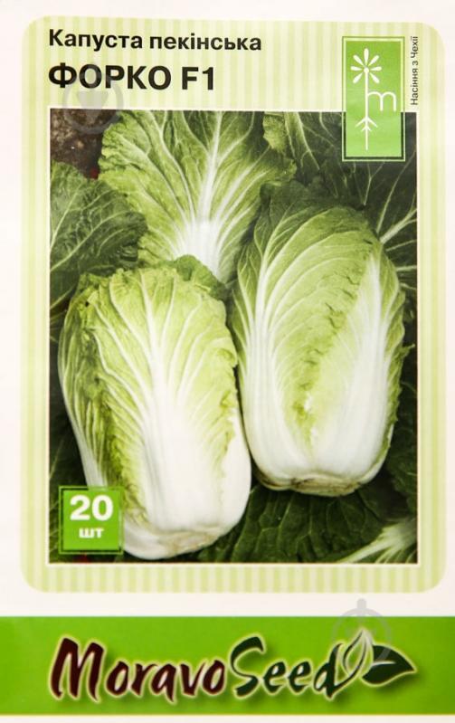 Насіння MoravoSeeds капуста пекінська Форко F1 20 шт. (4820163683591) - фото 1