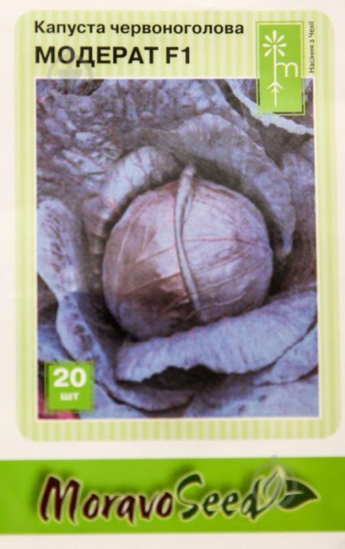 Насіння MoravoSeeds капуста червоноголова Модерат F1 20 шт. (4820163683607) - фото 1 Насіння MoravoSeeds капуста червоноголова Модерат F1 20 шт. (4820163683607) - фото 1