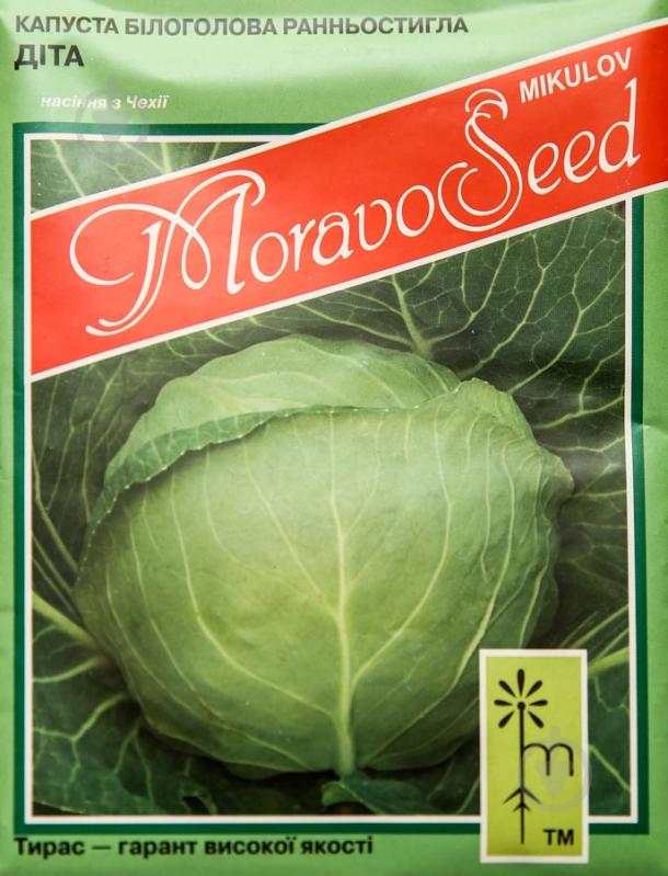 Семена капуста белокочанная Дита 10 г MoravoSeeds - фото 1 Семена капуста белокочанная Дита 10 г MoravoSeeds - фото 1