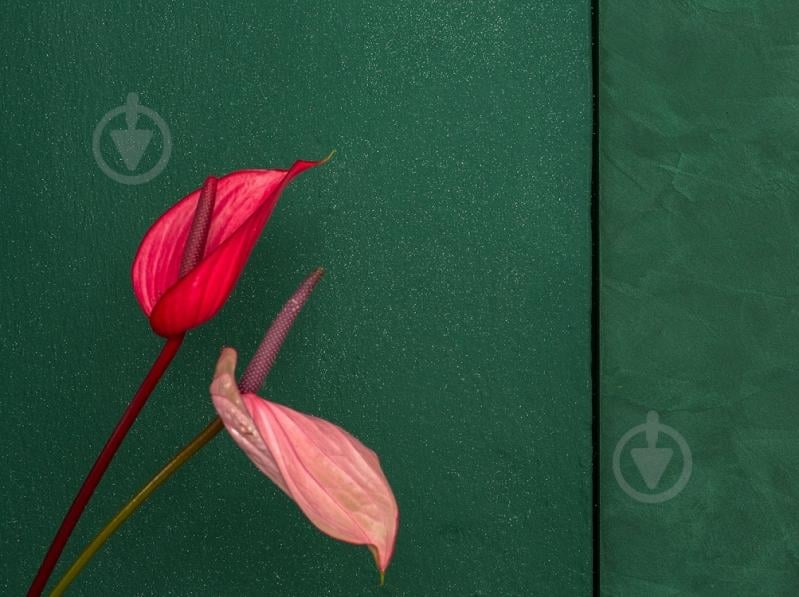 Глиттер Caparol Capadecor Diamоnds 75 г серебристый - фото 3