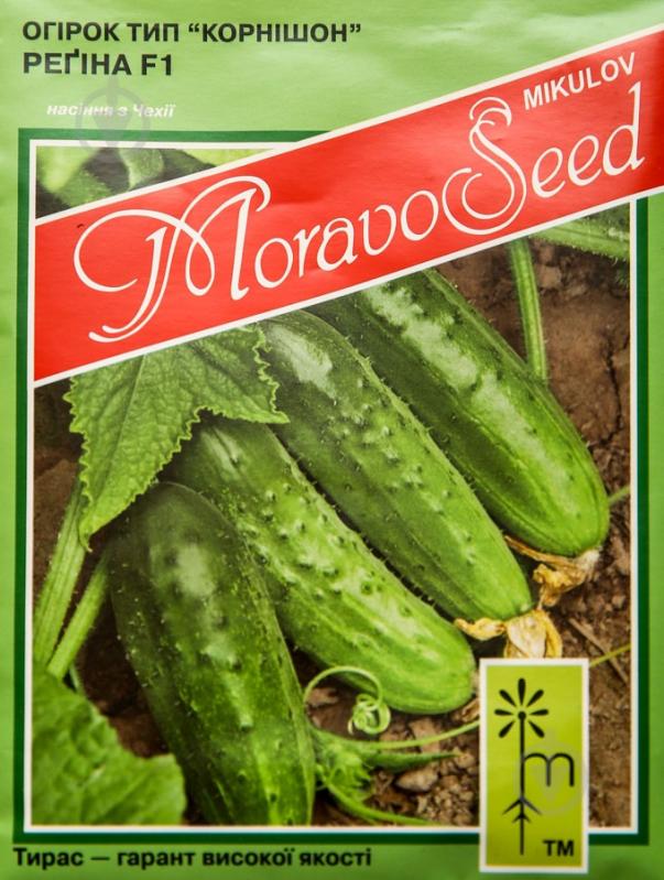 Семена огурец Регина F1 10 г MoravoSeeds - фото 1