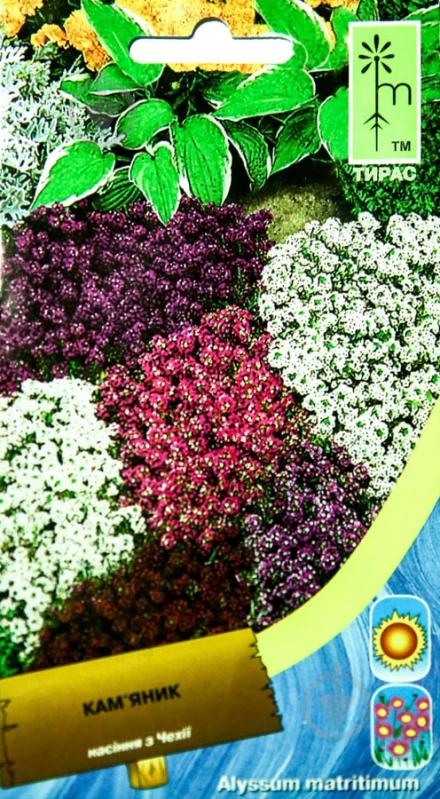 Семена MoravoSeeds лобулярия 0,2 г - фото 1