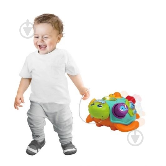 Каталка-сортер Winfun Черепаха 240301-NL - фото 3 Каталка-сортер Winfun Черепаха 240301-NL - фото 3