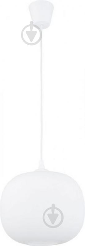 Подвес TK Lighting 1482 1x60 Вт E27 хром Paco - фото 1