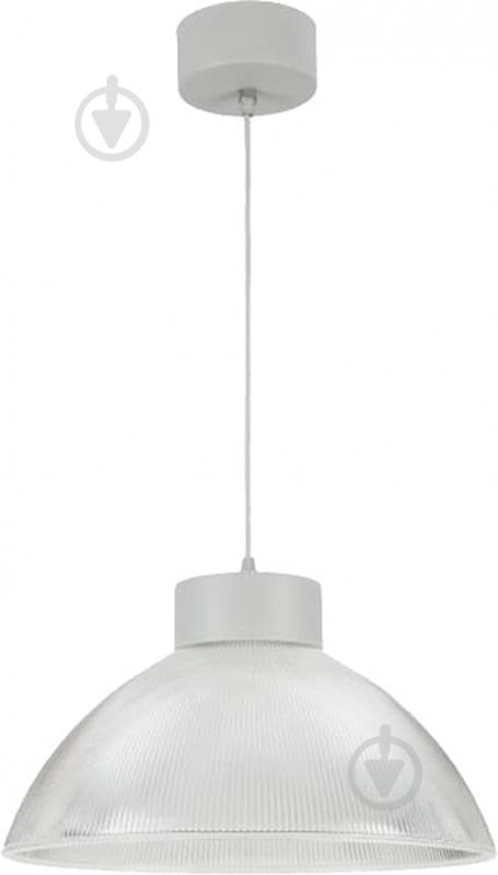 Подвес TK Lighting 1817 1x60 Вт E27 прозрачныйсерый Kiwi - фото 1