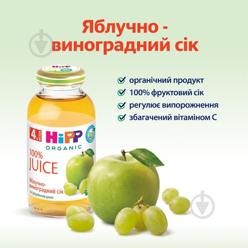 Сок Hipp Яблочно-виноградный 200 мл - фото 3 Сок Hipp Яблочно-виноградный 200 мл - фото 3