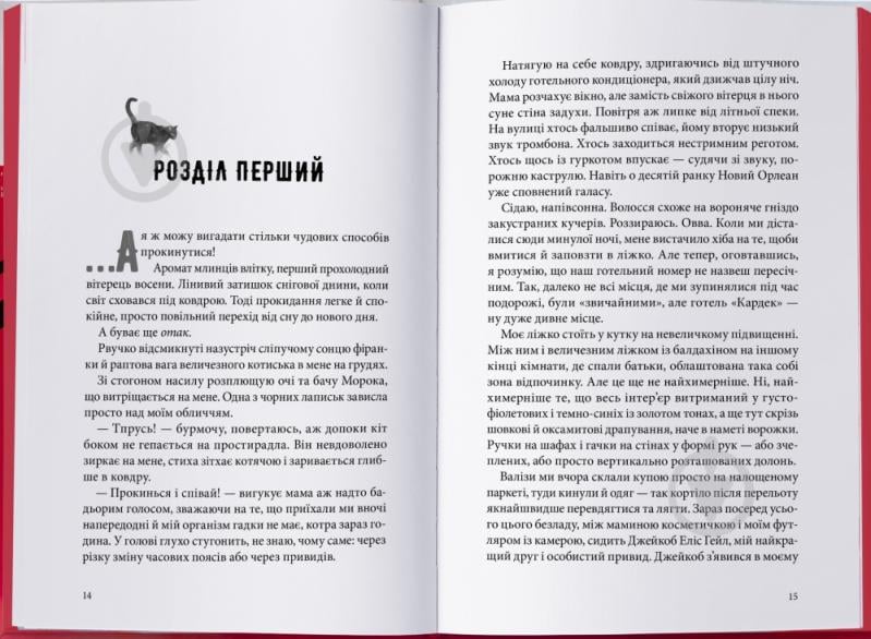 Книга Вікторія Шваб «Міст душ» 9786178383961 - фото 2