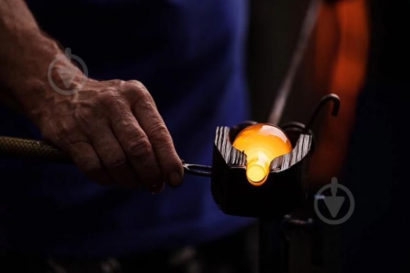 Набор рюмок Halimba Crystal Lyra 20 мл 2 шт. - фото 5 Набор рюмок Halimba Crystal Lyra 20 мл 2 шт. - фото 5