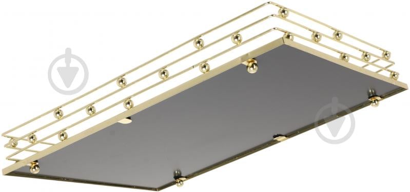 Поднос декоративный Sensio Luxtray 40х30х6 см золотой - фото 4