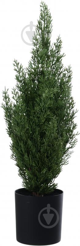 Растение искусственное елка в горшке пластик 10х55 см Sensio - фото 1 Растение искусственное елка в горшке пластик 10х55 см Sensio - фото 1