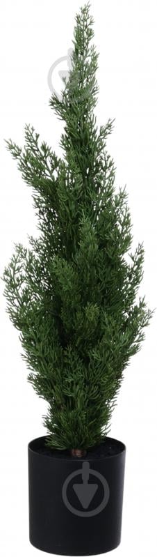 Растение искусственное елка в горшке пластик 12х70 см Sensio - фото 1 Растение искусственное елка в горшке пластик 12х70 см Sensio - фото 1