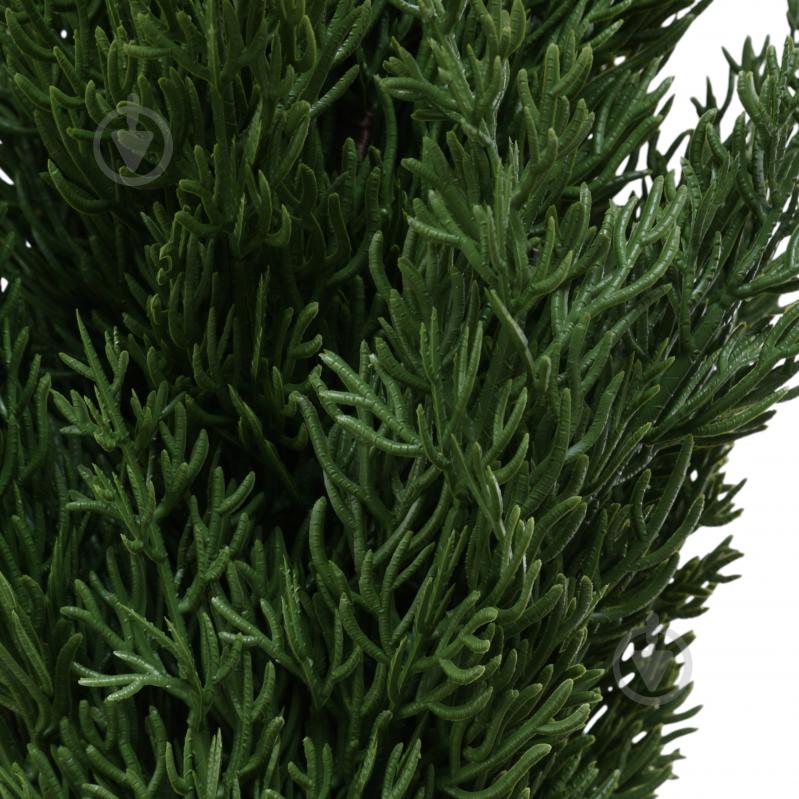 Растение искусственное елка в горшке пластик 12х70 см Sensio - фото 2 Растение искусственное елка в горшке пластик 12х70 см Sensio - фото 2