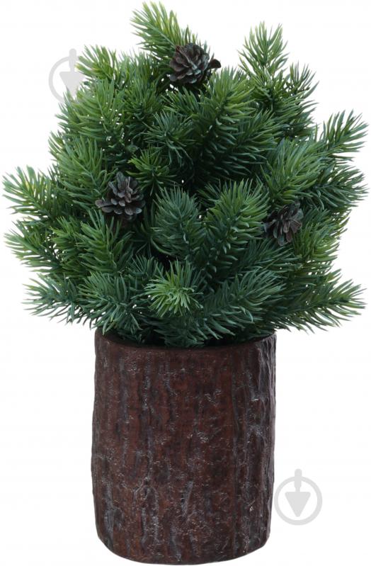 Растение искусственное елка в гипсовом горшке 10х28 см Sensio - фото 1 Растение искусственное елка в гипсовом горшке 10х28 см Sensio - фото 1