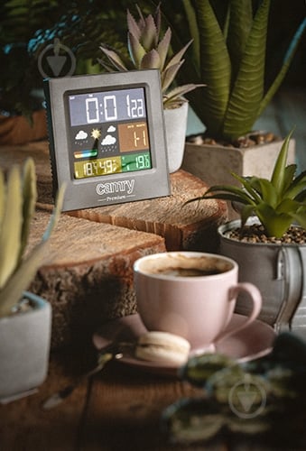 Метеостанція Camry портативна (CR-1166) - фото 5