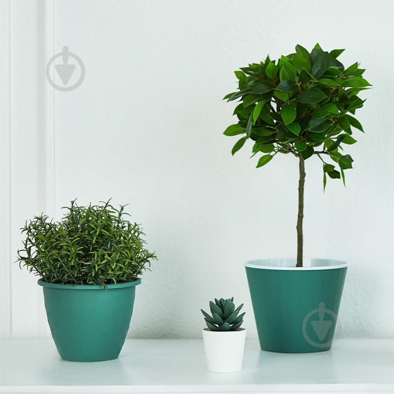 Вазон Ібіс 15,7х13,0 см круглий зелений/білий 1,7 л Алеана - фото 2 Вазон Ібіс 15,7х13,0 см круглий зелений/білий 1,7 л Алеана - фото 2