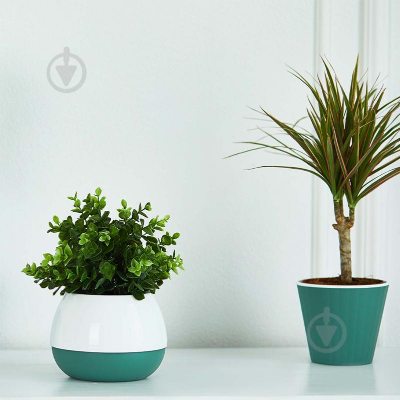 Вазон Ібіс 15,7х13,0 см круглий зелений/білий 1,7 л Алеана - фото 3 Вазон Ібіс 15,7х13,0 см круглий зелений/білий 1,7 л Алеана - фото 3